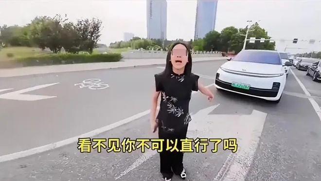 续：女司机气到流产公布完整行车记录仪凯发k8登录河北女司机与骑手冲突后(图13)